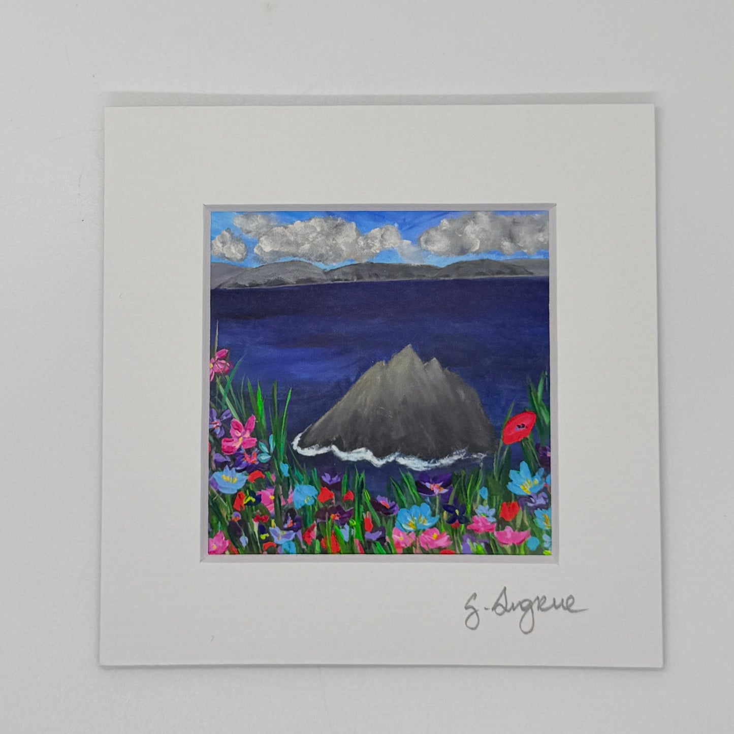 Skelligs islands in colour