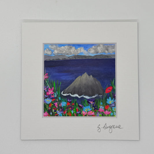 Skelligs islands in colour