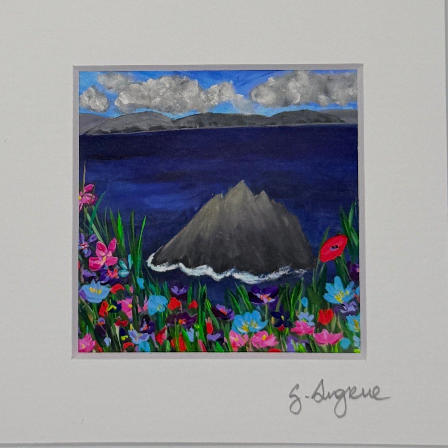 Skelligs islands in colour